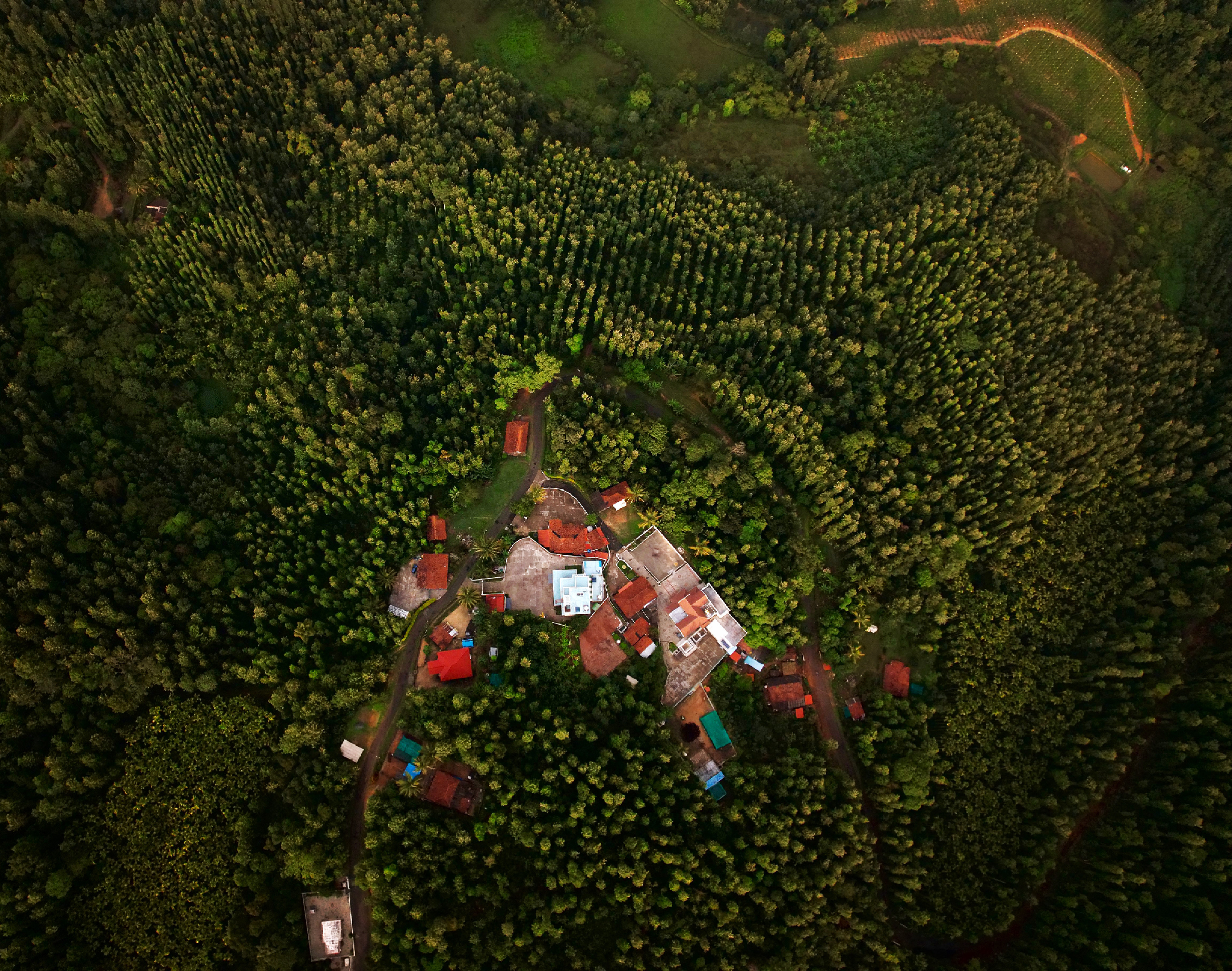 Photo by Pruthvi Raj